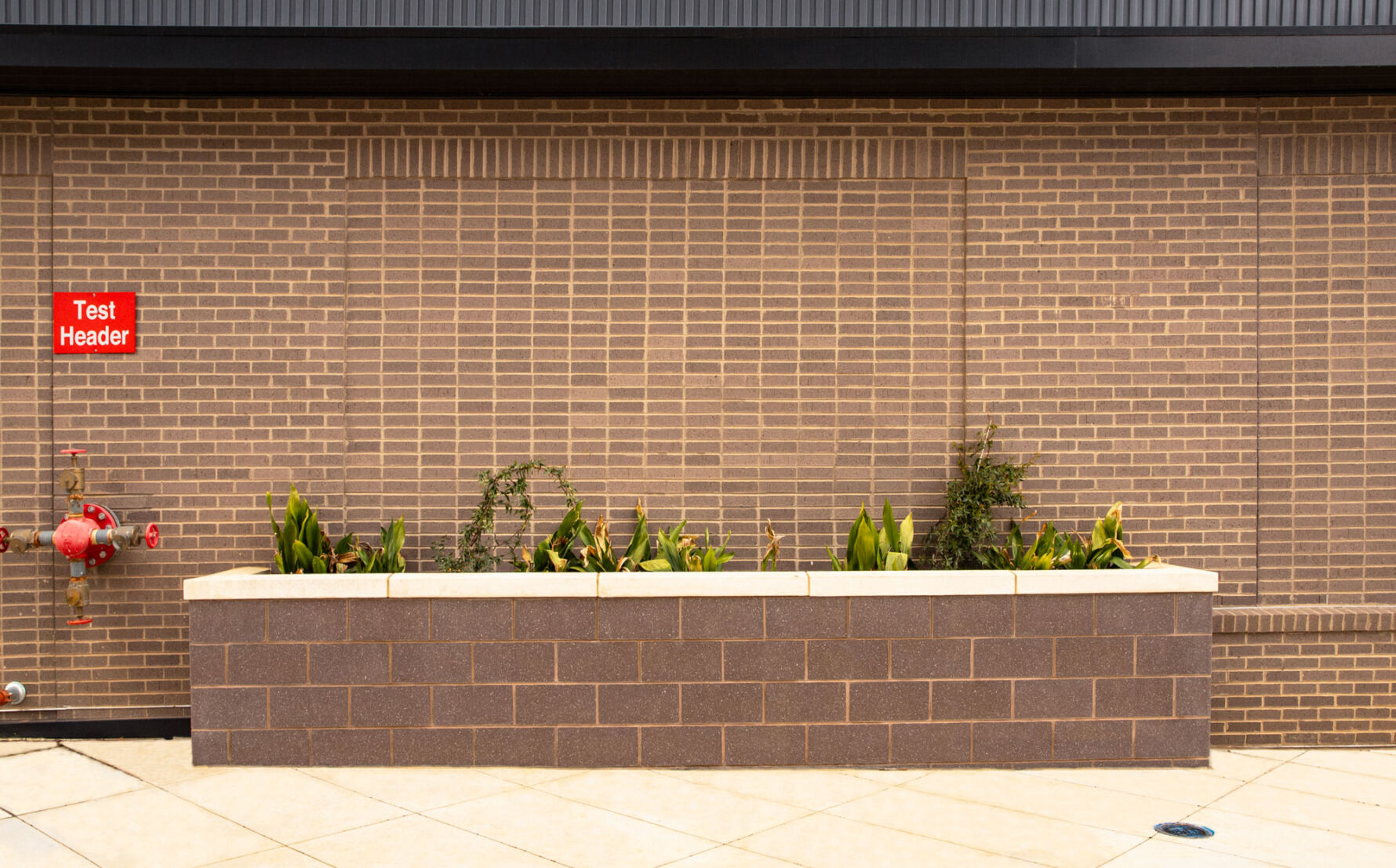 Planter wall at Ray at the Weld featuring Prestige Cast Architectural Cast Stone in a Burnished Face finish and Corundum color.